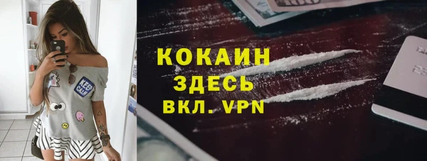 мяу мяу мука Новозыбков