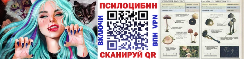 shop какой сайт  Уфа  Галлюциногенные грибы ЛСД 